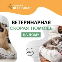 Ветеринарная служба Домашний ветеринар на улице Академика Грушина Фото 2 на проекте VetSpravka.ru Ветеринарная служба Домашний ветеринар на улице Академика Грушина Фото 2 на проекте VetSpravka.ru