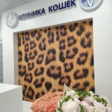 Ветеринарный центр Клиника Кошек на Короленко Фото 2 на проекте VetSpravka.ru