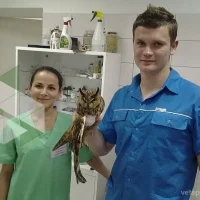 Клиника Айболит на Советской улице Фото 2 на проекте VetSpravka.ru Клиника Айболит на Советской улице Фото 2 на проекте VetSpravka.ru